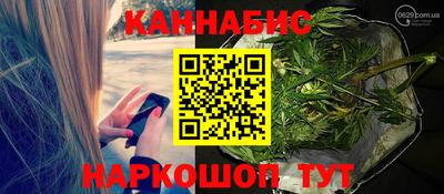 гашик Дмитров
