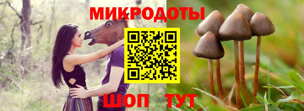 Галлюциногенные грибы Psilocybe Батайск